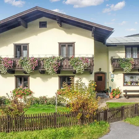 Daire Gemuetliche Wagrain